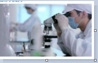 REACH法規年底或增至205項SVHC