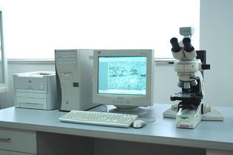 金相分析的所有檢測項目